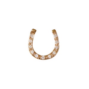 Diamond Horseshoe Lapel Pin – Silver/Gold, horseshoe tie pin, horseshoe brooch, groom jewelry, best man gift, lucky jewelry, graduation gift