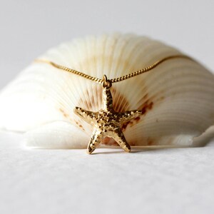 Pode incluir: Um colar dourado com um pingente de estrela do mar. O colar &eacute; apresentado em uma concha branca.