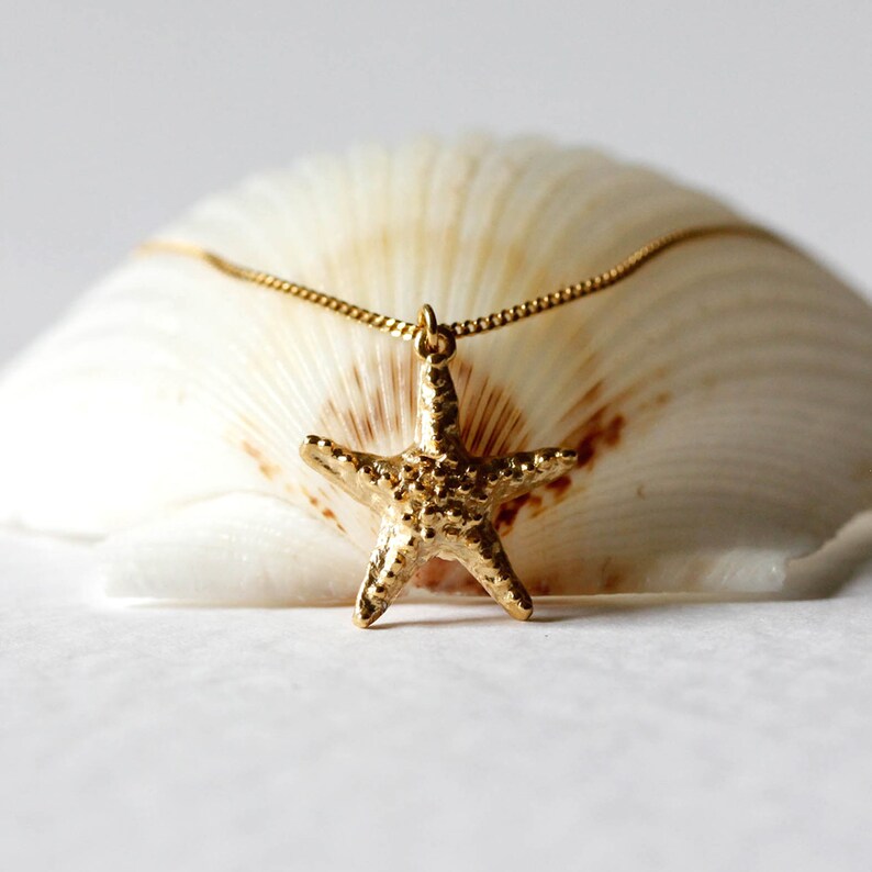 Pode incluir: Um colar dourado com um pingente de estrela do mar. O colar &eacute; apresentado em uma concha branca.