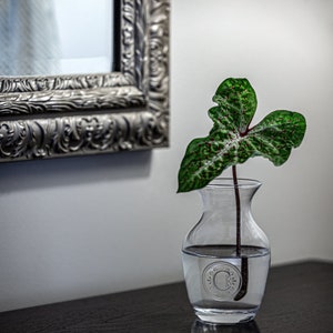 Personalized Bouquet Vase, Flower vase, Personalized Vase, Personalized Glassware, Home Decor, Custom vase, Custom Glass, Flowers (CS531)