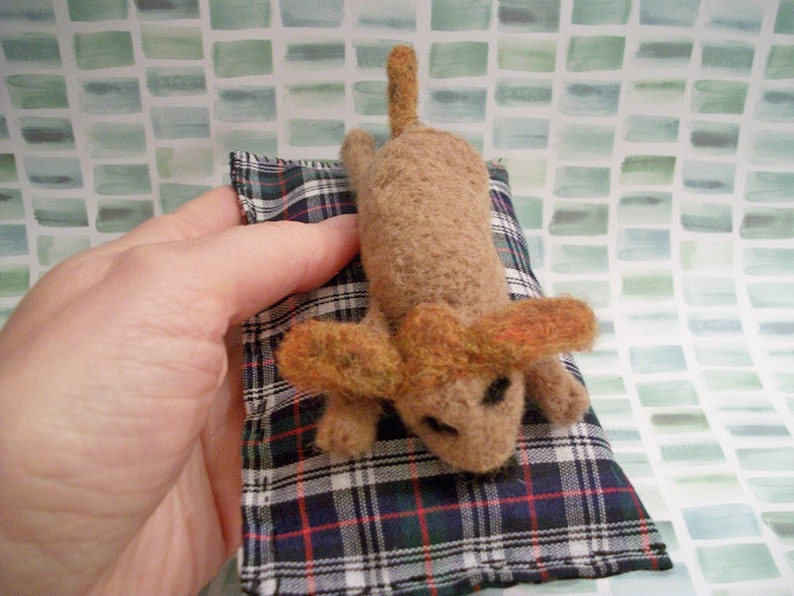 Handmade Gift Felted Dog Sleeping Dog Dog Bed