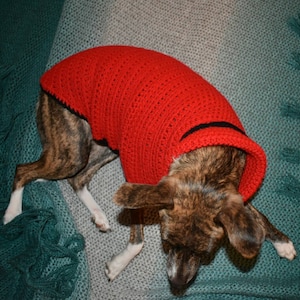 May include: A brown and black dog wearing a red crocheted sweater with black trim. The dog is lying on a green and gray blanket.