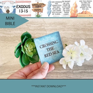 Puede incluir: Una tarjeta azul con el texto "Crossing the Red Sea" en ella. La tarjeta está siendo sostenida por una mano frente a una suculenta verde y flores blancas.