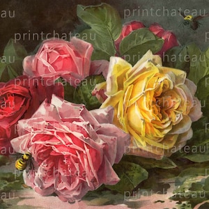 Roses by PAUL de LONGPRE New GICLEE Long Art Print Cottage Chic  Pink Red Yellow Garden Flowers from Vintage Great to Frame  Printchateau