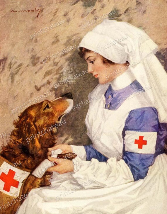 Irish Setter Dog RED CROSS Nurse NEW Giclee Art Print Serivce Animal Loving Care Getting Medical Treatment  to Frame from printchateau