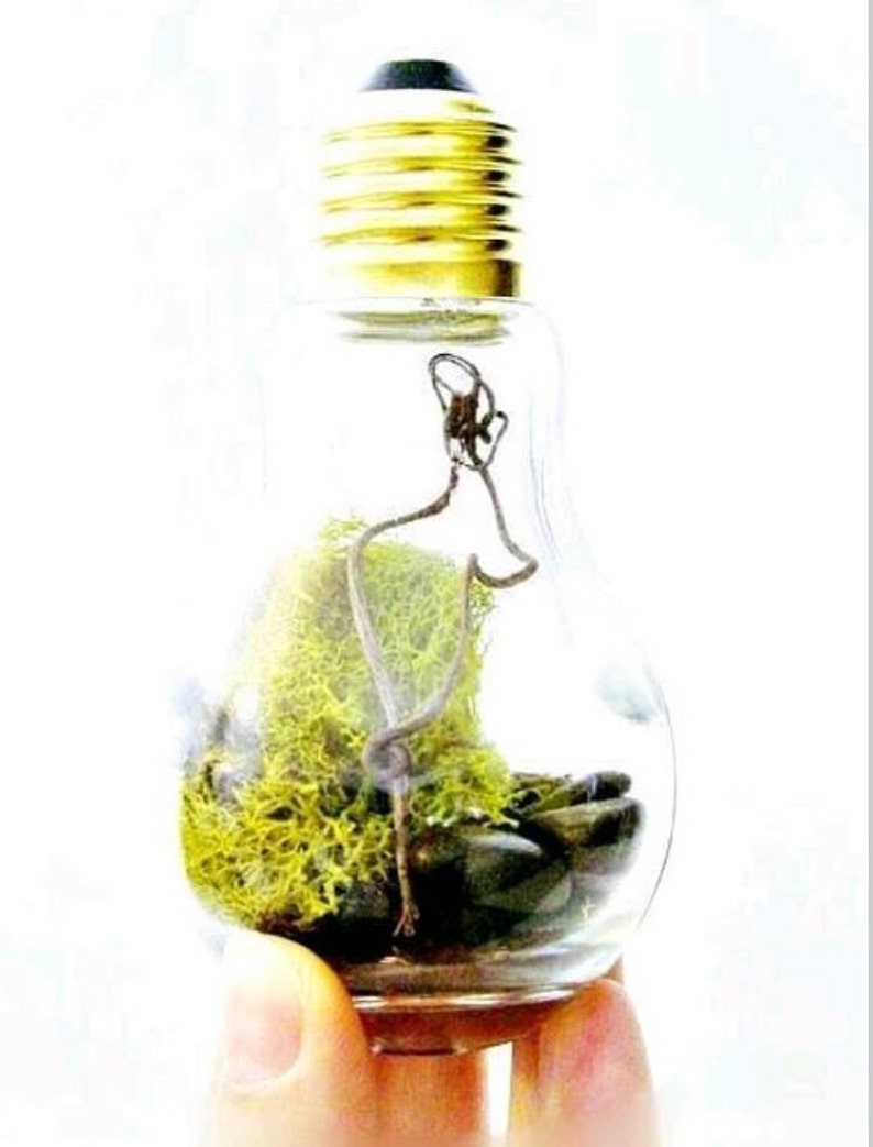 Light Bulb Glass Novelty Jar With Gold Lid 5 5/8 225 Ml Etsy