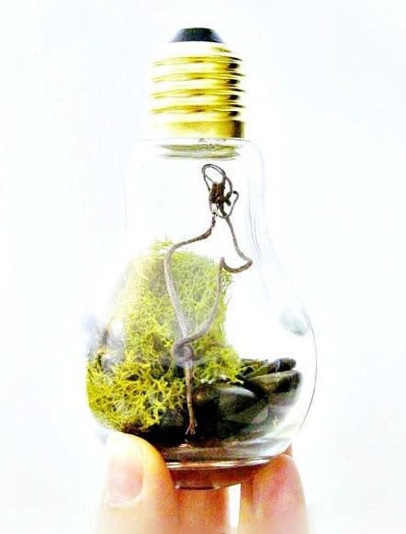 Light Bulb Glass Novelty Jar With Gold Lid 4 1/4 110 Ml Etsy
