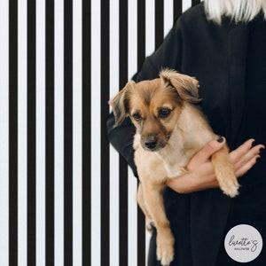 Peel And Stick Fabric Wallpaper Black And White Stripe Vertical Lines Geometric Wallpaper Self Adhesive Modern Wallpaper By Livettes