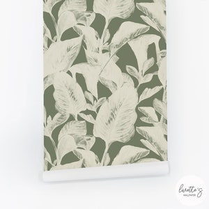 Tropical Peel And Stick Wallpaper With Vintage Botanical Prints As Green Wall Backdrop For Bedroom Interior image 3