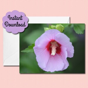 Photo Art Note Card - Rose of Sharon - Flowers - Printable - Instant Download - Mother&#39;s Day - Birthday - Anniversary - Blank Inside