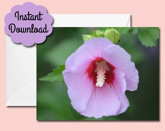 Photo Art Note Card - Rose of Sharon - Flowers - Printable - Instant Download - Mother's Day - Birthday - Anniversary - Blank Inside