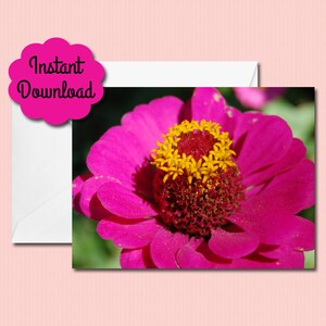 Tarjeta de notas de arte fotográfico - Zinnia rosa - Flores - Imprimible - Descarga instantánea - Día de la Madre - Cumpleaños - Aniversario - En blanco por dentro