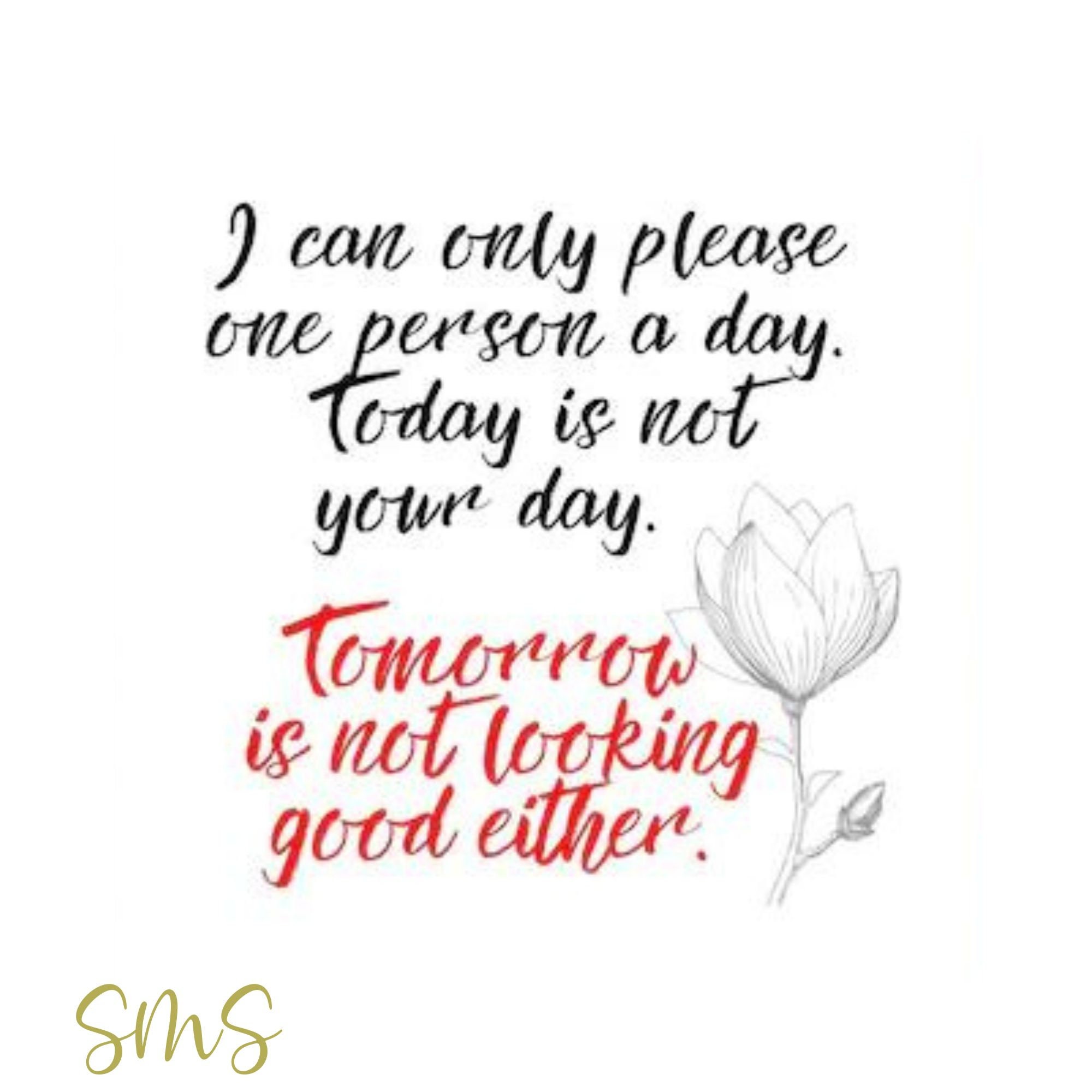 I Can Only Please One Person a Day/prints, Signs, Instant Digital ...