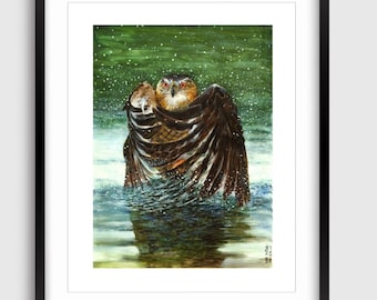 Bathing Water Owl