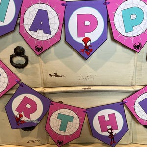 May include: A decorative party banner featuring purple and pink pennants with white circular centers displaying spider web patterns and the letters spelling HAPPY BIRTHDAY. Each pennant includes colorful cartoon spider-themed character graphics.