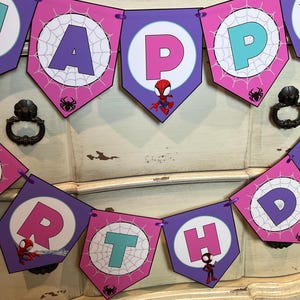 May include: A decorative party banner featuring purple and pink pentagonal flags with white circular centers. Each flag displays a letter spelling HAPPY BIRTHDAY, accented with spider web patterns, small spider icons, and cartoon spider characters.