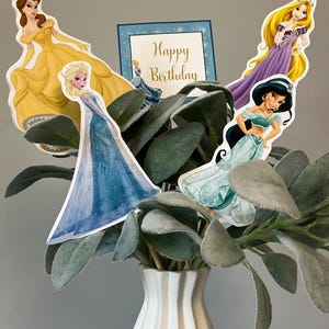 May include: A bouquet of artificial greenery in a white vase with four princess character toppers. The toppers feature Belle, Elsa, Rapunzel, and Jasmine. The card says "Happy Birthday".
