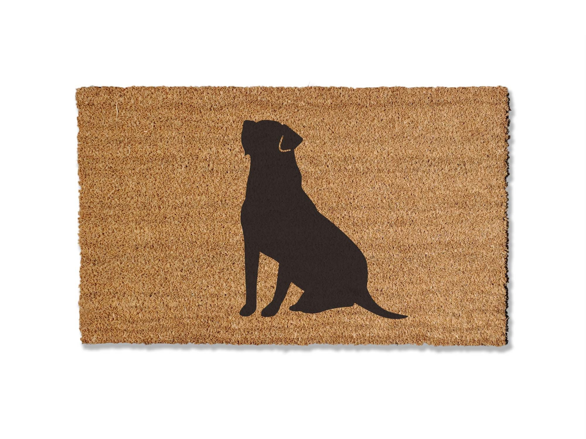 Backdoor labrador Backdoor labrador