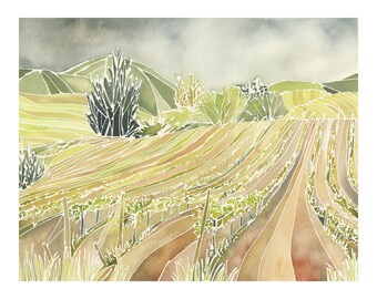 Sonoma Wine Country Vineyard, California Watercolor Landscape Painting- Fine Art Print