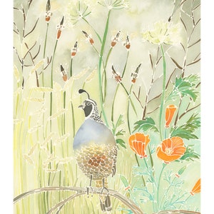 California Quail Bird and Poppy Watercolor Landscape Painting - Fine Art Print