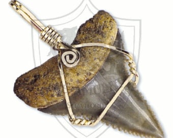 Sharks Tooth Pendant