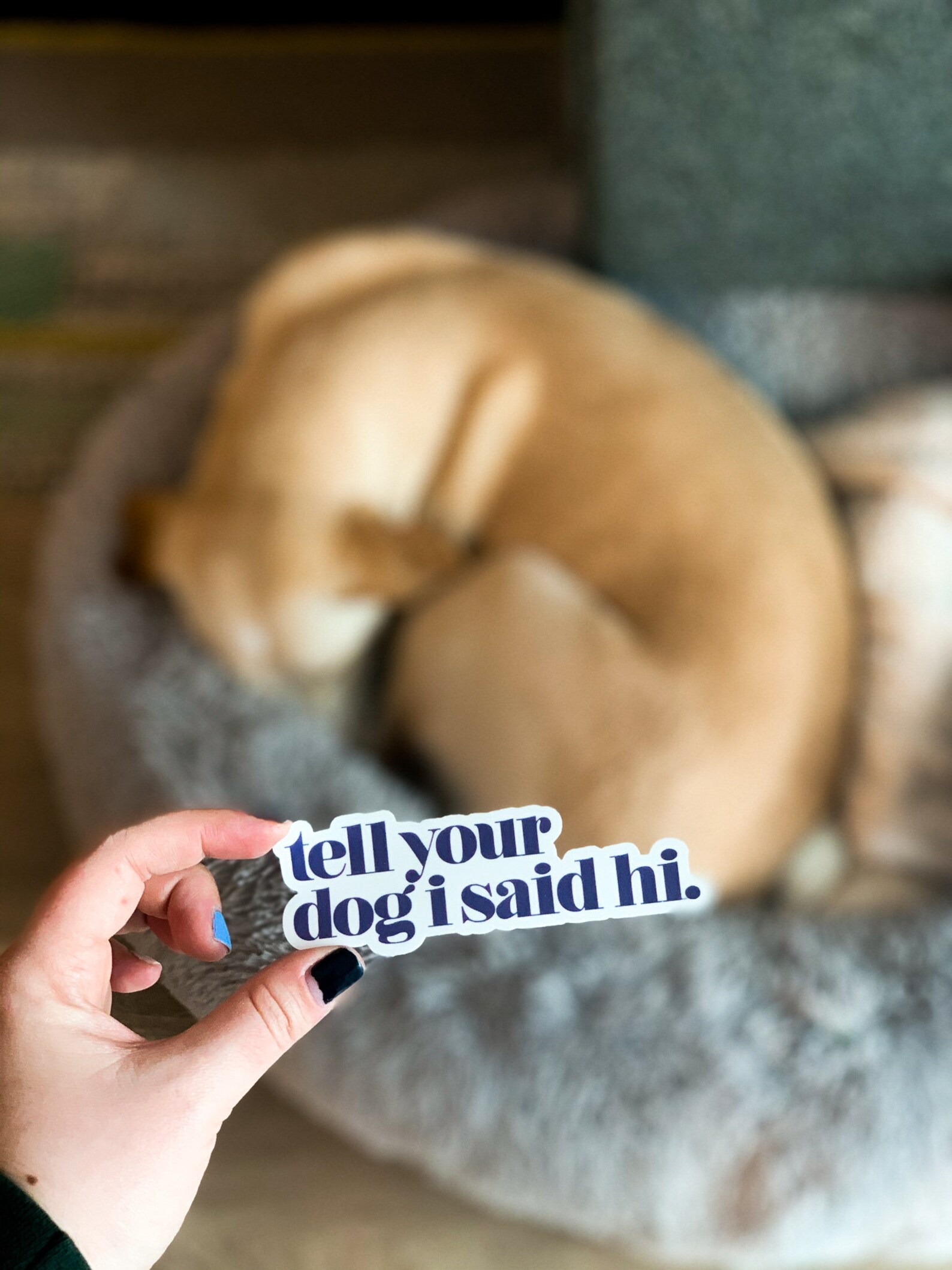 Tell Your Dog I Said Hi Dog Mom Puppy Funny Quote Pet Etsy