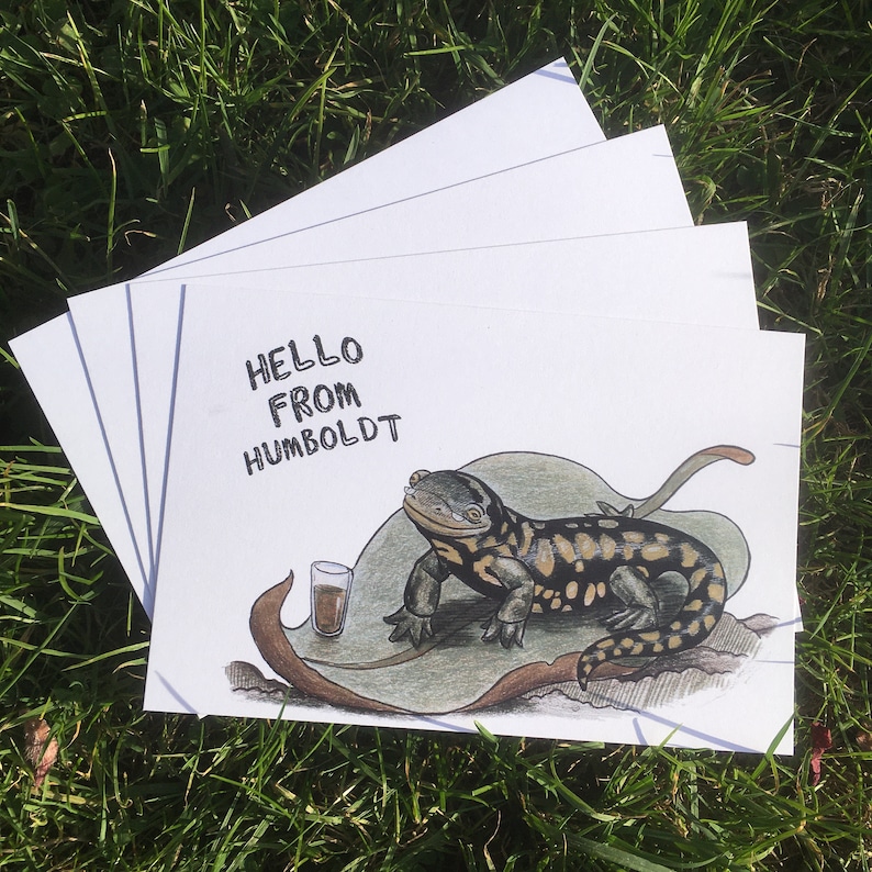 Snail Mail with a whimsical children/'s illustration cartoon wildlife Norcal Little Pacific Salamander POSTCARD Hello from Humboldt