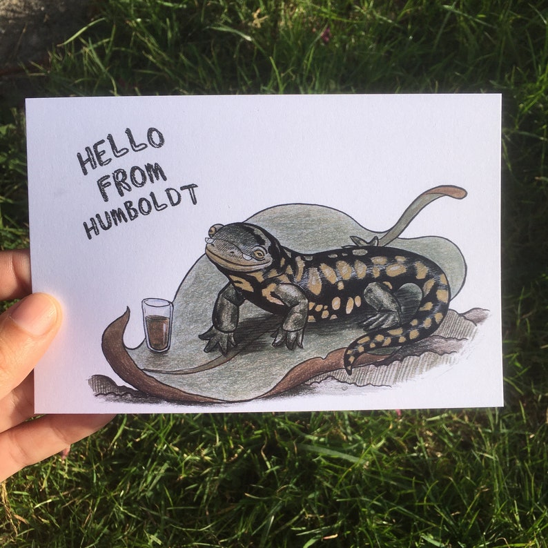 Snail Mail with a whimsical children/'s illustration cartoon wildlife Norcal Little Pacific Salamander POSTCARD Hello from Humboldt