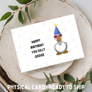 Gefeliciteerd met je verjaardag Silly Goose - 4 x 6 of 5 x 7, verjaardagswenskaart - fysieke kaart alleen per post verzonden/NIET digitaal