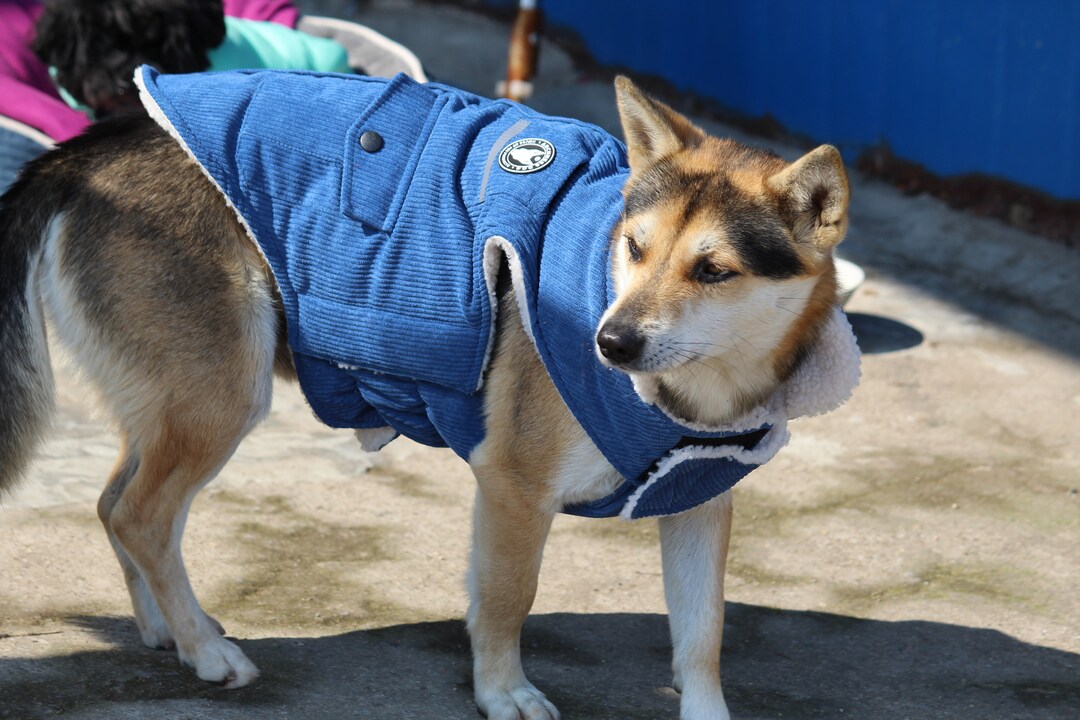 Ad30b,dog Coat,puffer Coat,quilted Dog Coat, Waterproof Dog Coat