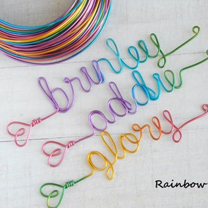 May include: A coil of multi-colored craft wire and three wire names shaped in cursive script: Brinley in purple, Addie in blue, and Glory in yellow-orange. Each name features a small heart-shaped loop at the end. The text Rainbow is visible.