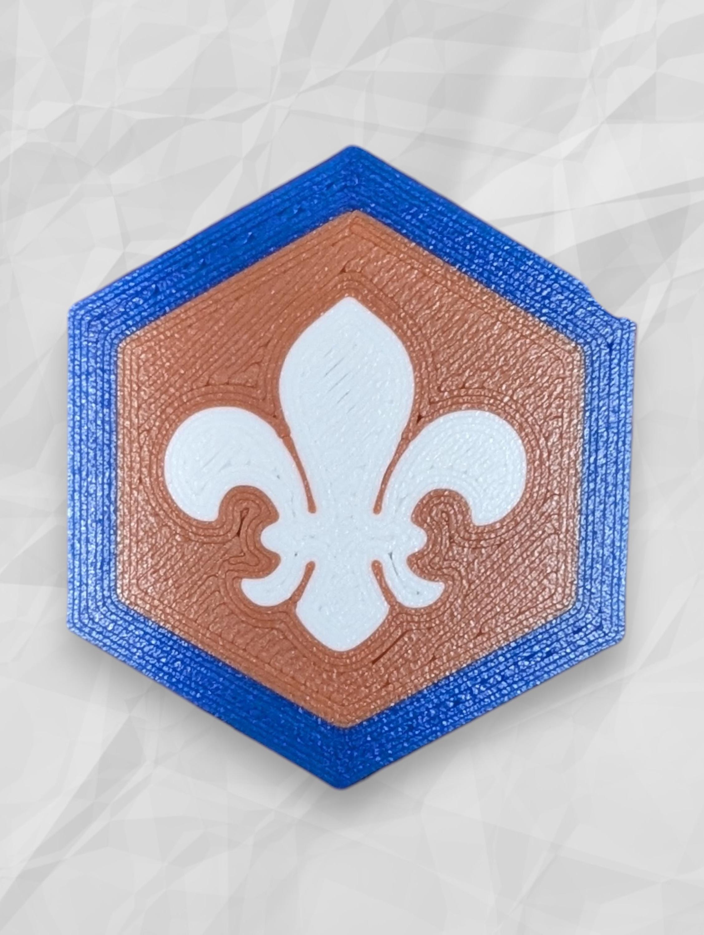 25ÈME INSIGNE JAMBOREE Scout Mondial Corée du Sud 2023 EUR 2,30