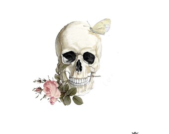 Skull With Rose Etsy