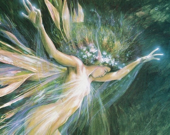 Brian Froud Expression Faery dance skills writing cooking fairies radiant being realm winged creature mysterious fantasy lover gift decor