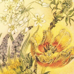 Bloemenprint Sulamith Wulfing lente zomer bos posy tulp kleurrijke kleuren cadeau voor tuinman illustratie muur kunst kamer decor Wülfing