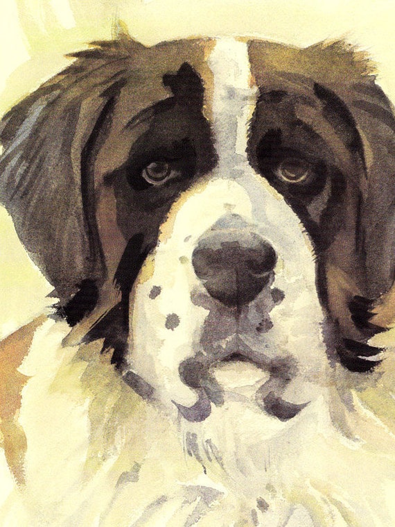 Saint St Bernard Long Haired Giant Large Dog Breed Vintage Etsy
