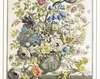 May Winterthurs vintage botanical print 12 month of flowers Robert Furber 7.5 x 10 inches