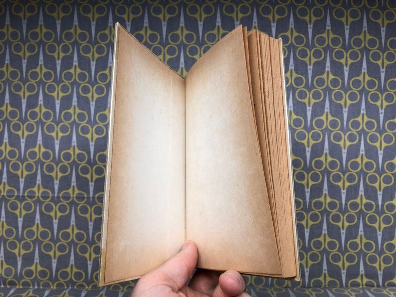May include: An open book with blank pages, the pages are slightly yellowed with age. The book is lying open on a patterned surface.