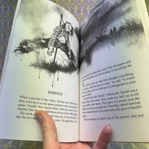 Scary Stories to Tell in the Dark Complete Box Set by Alvin Schwartz Original Stephen Gammell Illustrations Classic Horror Books image 10