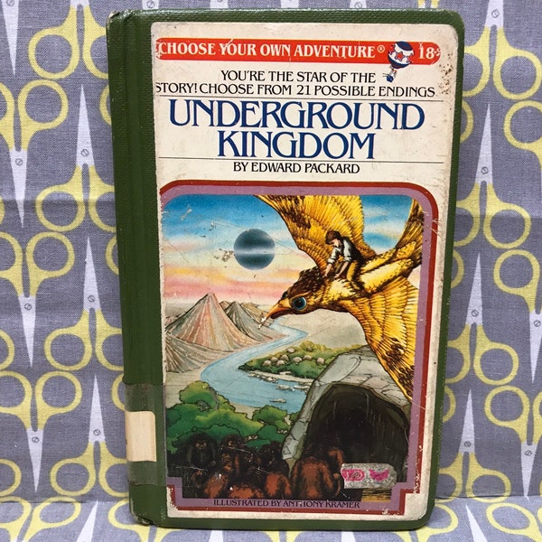 Underground Kingdom by Edward Packard paperback book vintage Choose Your Own Adventure 18