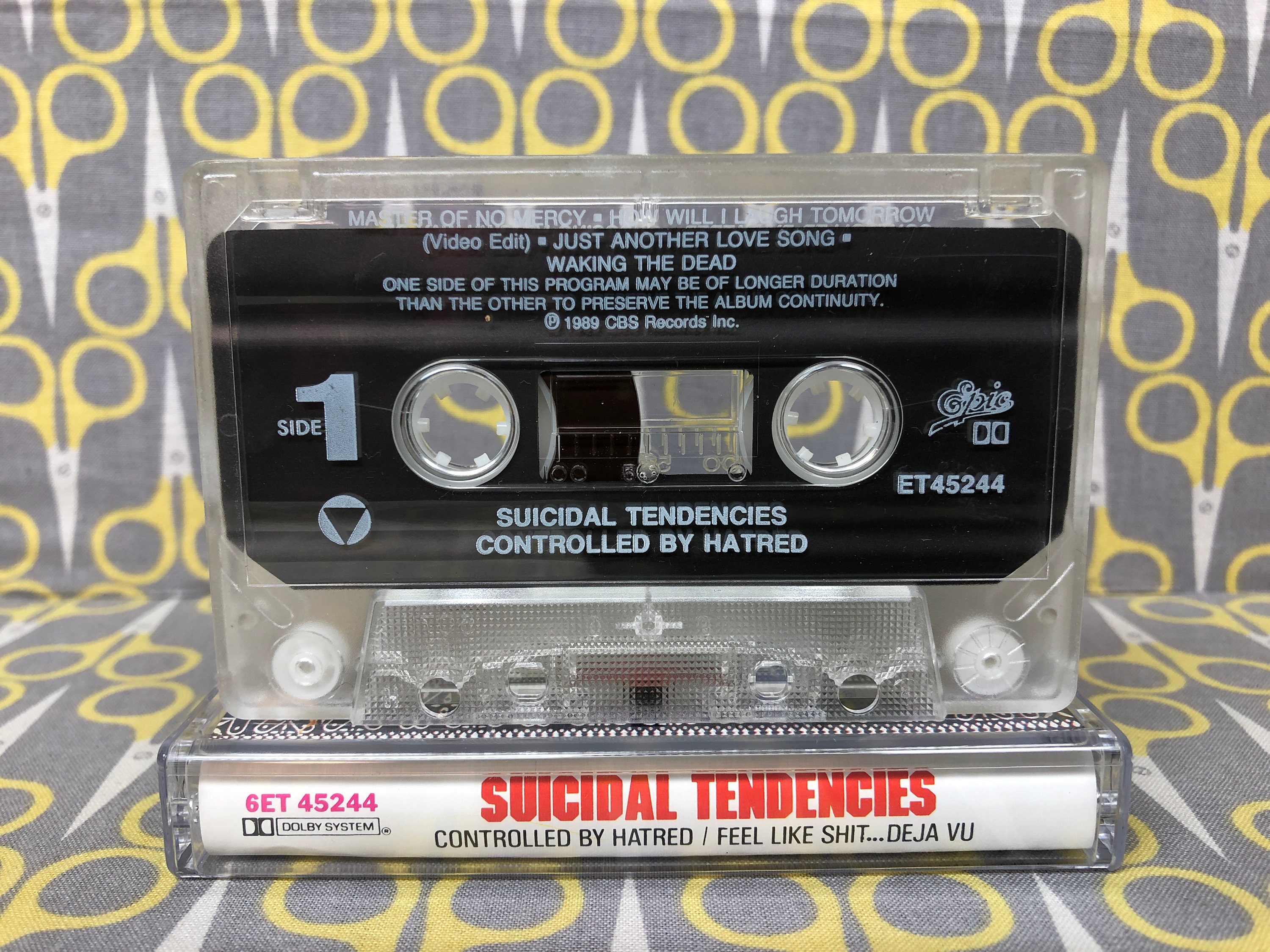 【RUIN】TOO FAST TO SATISFAY　Cassette Tape Too Bad it has magnet damage ;( : r/cassetteculture
