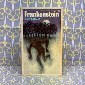 Frankenstein or the Modern Prometheus by Mary Shelley Paperback Book Horror Vintage