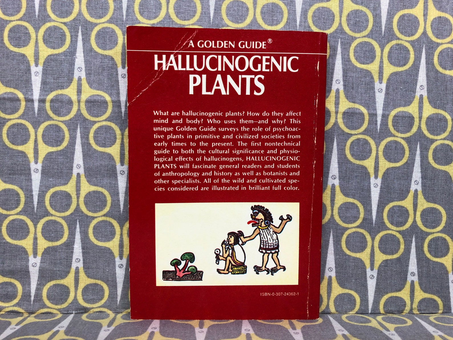 Hallucinogenic plants essay image