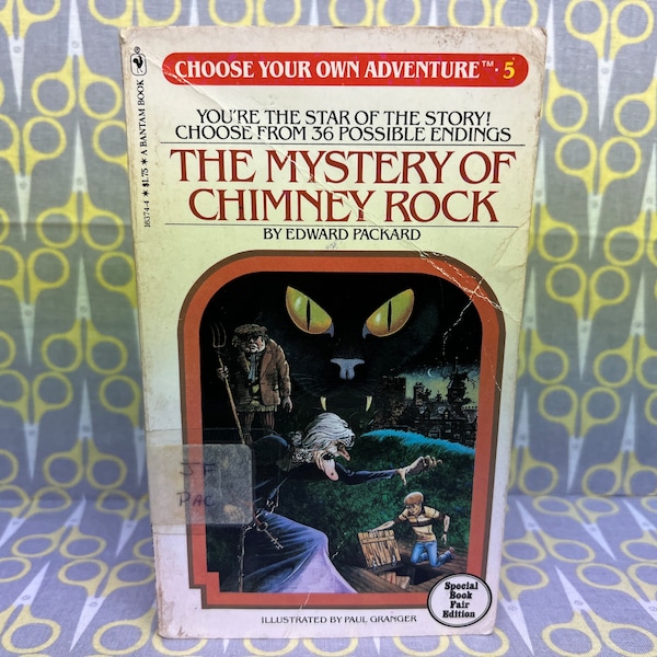 The Mystery Of Chimney Rock by Edward Packard paperback book vintage Choose Your Own Adventure Number 5