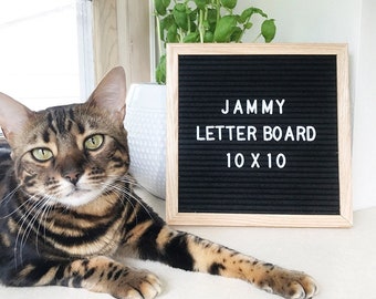 Black Felt Letter Board 10x10 Inch Frame with 290 Interchangeable Letters, quirky home decor, lifestyle, unique design FREE SHIPPING