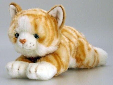 Amber Ginger Cat 30cm By Keel Toys