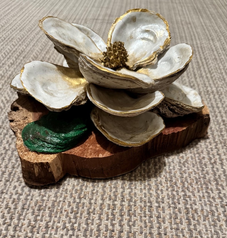 Magnolia Coda Shell