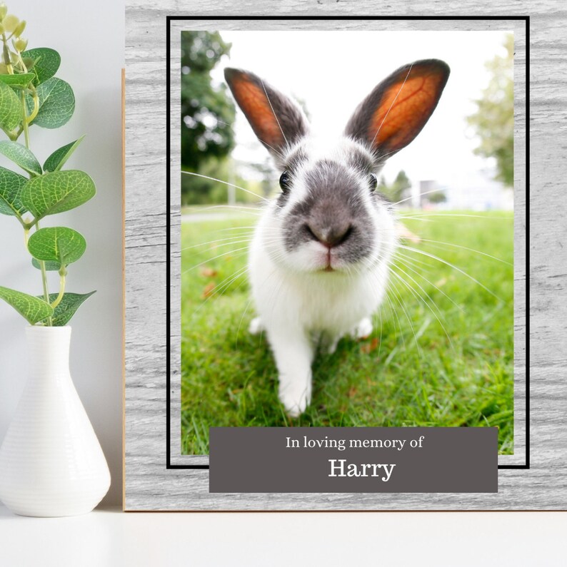 Rabbit Memorial Gift Bunny Loss Personalized Pet Memorial Etsy UK