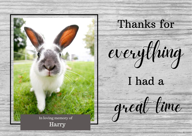 Rabbit Memorial Gift Bunny Loss Personalized Pet Memorial Etsy