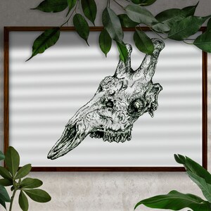 Camelopardalis “The Giraffe”